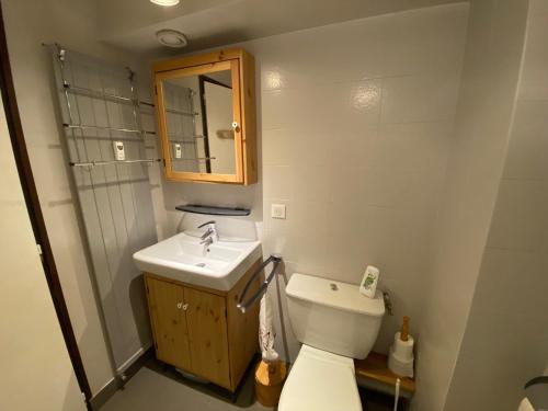 une salle de bain avec un lavabo, des toilettes et un miroir dans l'établissement Studio cosy rénové au centre de La Clusaz, balcon, parking privé, proche commerces et pistes - FR-1-459-84, à La Clusaz