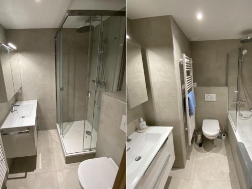 une salle de bain avec une douche, des toilettes et un lavabo dans l'établissement Duplex rénové 2020, 4 chambres, balcon, parking à La Clusaz - FR-1-459-171, à La Clusaz