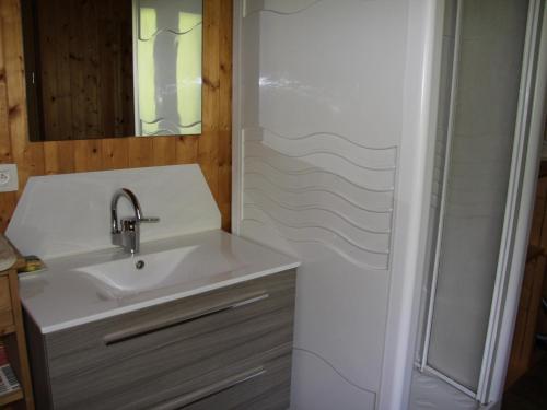 une salle de bain avec un lavabo et une douche dans l'établissement Chalet familial 5 chambres pour 8 personnes à Saint-Jean-de-Sixt - FR-1-459-160, à Saint-Jean-de-Sixt