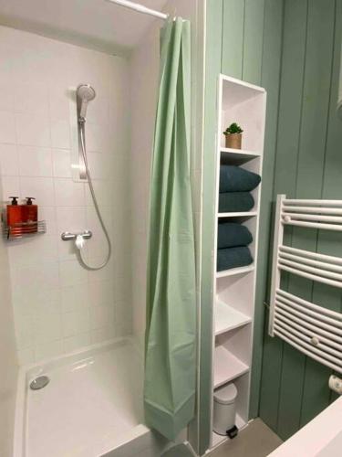W łazience znajduje się prysznic z zieloną zasłoną prysznicową. w obiekcie Vaste Appartement Rénové - Centre Ville w mieście Bourg-en-Bresse
