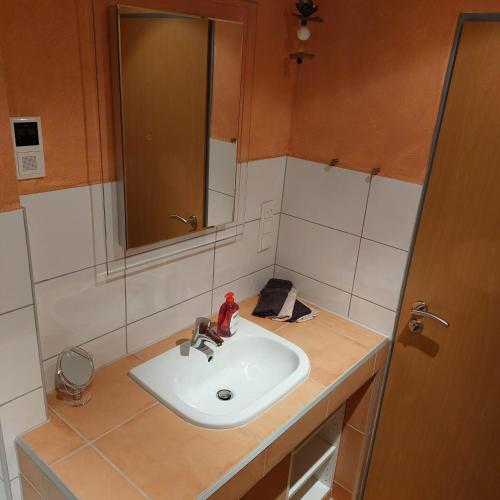 a bathroom with a sink and a mirror at Ferienwohnung WESERRATTE in Hameln