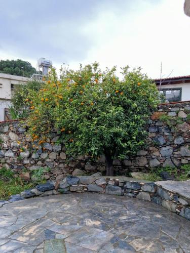 a stone wall with an orange tree in front of it at THE ROCK HOUSE - Beautiful countryside with mandarins oranges and olive trees,. Near Limassol at Eptagonia village. in Ephtagonia