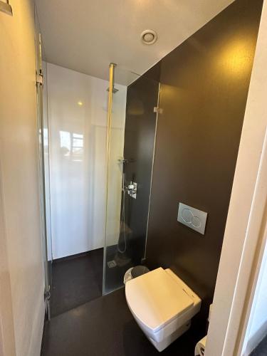 a bathroom with a toilet and a glass shower at Guimarães Studios Lounge in Guimarães