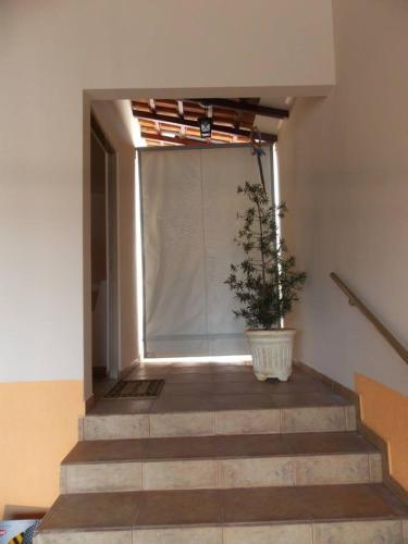 Cantinho de Minas – Photos 3