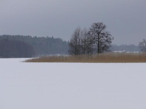ファームステイの近くで見られる自然の景観