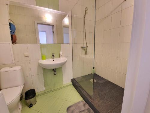 uma casa de banho com um WC, um lavatório e um chuveiro em Like Home on Mikhnovskogo em Ivano-Frankivsʼk