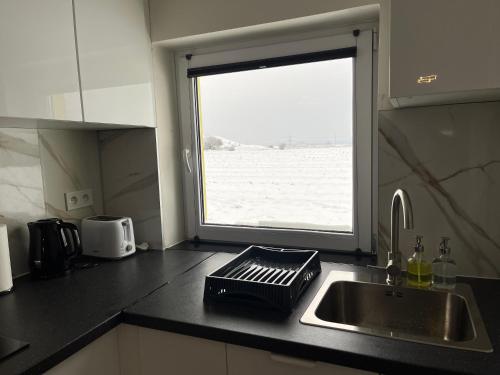 a kitchen counter with a sink and a window at Apartment Golden Prague 78 in Vestec