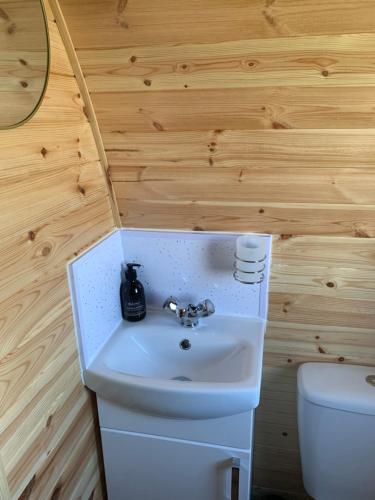 a bathroom with a sink and a toilet at Loch an Eilean Pod Isle of South Uist in Pollachar