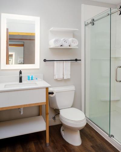 a bathroom with a toilet and a glass shower at Caribou Highlands Lodge in Lutsen