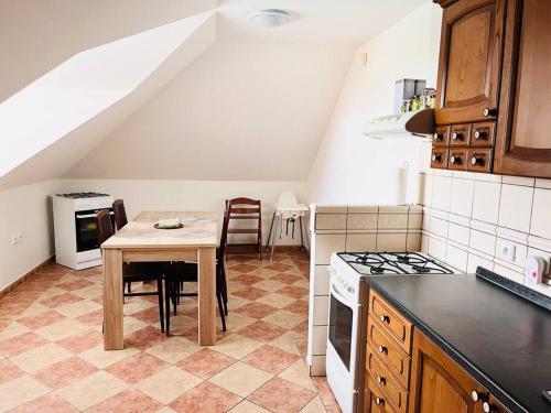 Kuchyň nebo kuchyňský kout v ubytování Apartmán se zahradou 20 minut do centra Prahy