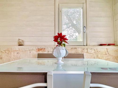 a vase with a red flower sitting on a table at Dimora Antonella - Ostuni 4 seasons - Splendid Villa Depandance with Private Swimming Pool in Ostuni