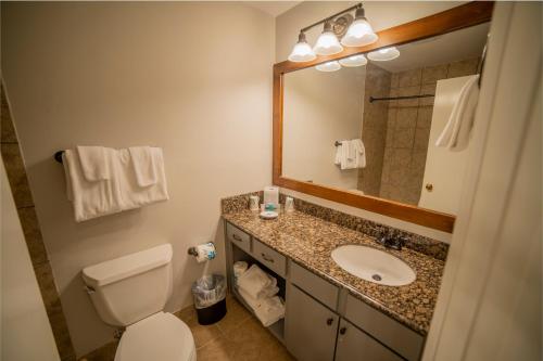 a bathroom with a toilet and a sink and a mirror at Callaway Resort & Gardens in Pine Mountain
