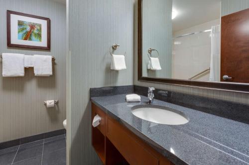 a bathroom with a sink and a mirror at Drury Inn & Suites Gainesville in Gainesville