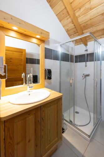 un bagno con lavandino e doccia di Auberge La maison de Catherine a Puy-Saint-Pierre