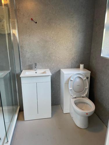 ein Badezimmer mit Toilette und Waschbecken in der Unterkunft tabor lane Dolwar our little cottage in Criccieth