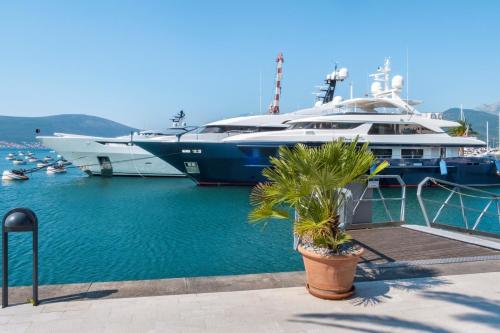 a large boat docked at a marina with a palm tree at Porto Montenegro in Tivat