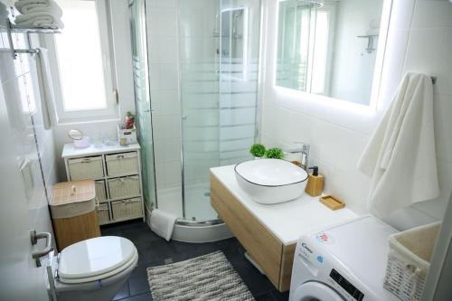 a bathroom with a sink and a toilet and a shower at Apartment Mare Blu in Kožino