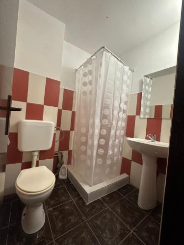 a bathroom with a shower and a toilet and a sink at Garsoniere Aby in Turnu Măgurele