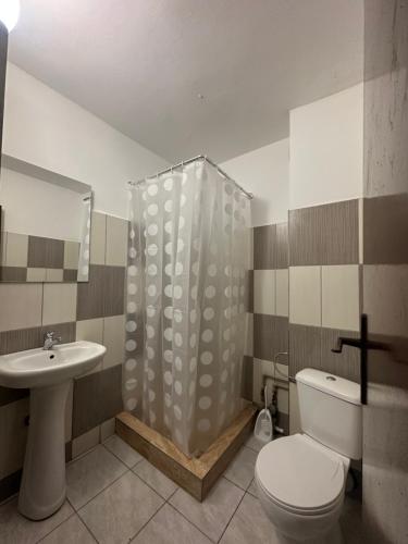 a bathroom with a toilet a sink and a shower at Garsoniere Aby in Turnu Măgurele