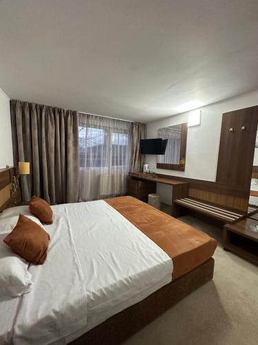 a bedroom with a large bed and a window at Garsoniere Aby in Turnu Măgurele