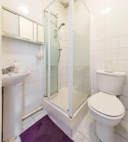 a white bathroom with a toilet and a shower at Studio Appartment 2, sleeps up to two people. in The Hyde