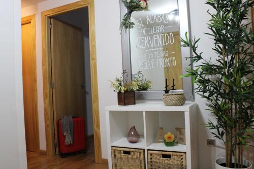 una stanza con una mensola bianca con piante e un cartello di Apartamento Sauce a Canfranc-Estación