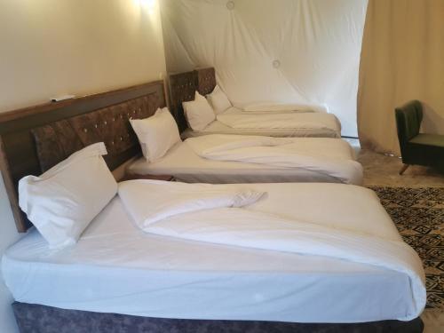 three beds in a room with white sheets and pillows at Rum titanic camp in Wadi Rum