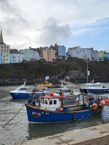 three boats docked in the water with buildings in the background at Adorable bedsit for you, partner and your pet! in Pembrokeshire