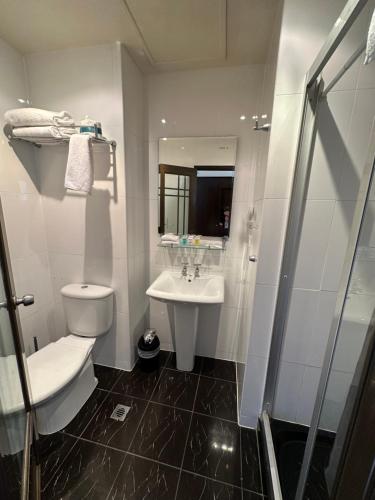 a bathroom with a toilet and a sink and a shower at Trinity Hotel in Wellington