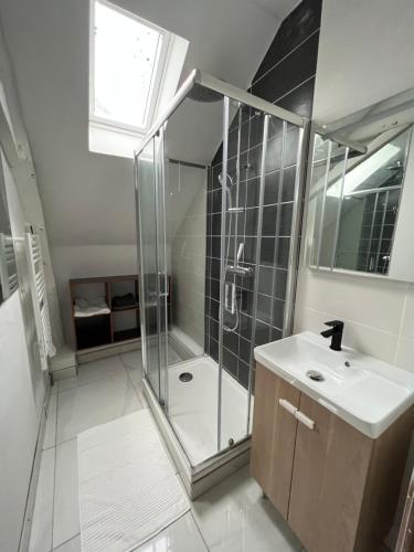 y baño con ducha y lavamanos. en Le cottage de l’Oudon, en Segré