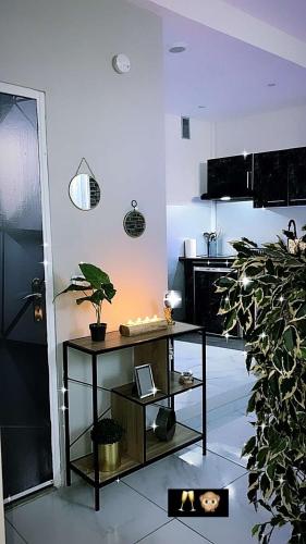 - une cuisine avec une table et une plante dans une pièce dans l'établissement Nuit privée, à Cannes