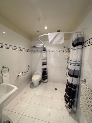 a bathroom with a toilet and a tub and a sink at Trinity Hotel in Wellington