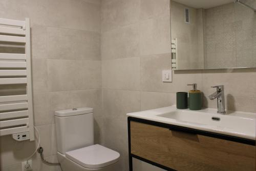 ein Bad mit einem WC und einem Waschbecken in der Unterkunft Apartamento Pinsapo Canfranc-Estación in Canfranc-Estación