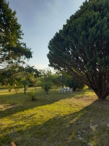 una mesa de picnic en un campo con un árbol en •JADE• Casas de alquiler en Los Molles