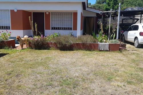 a dog standing in front of a house at Colinas in Ciudad de la Costa