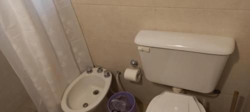 a small bathroom with a toilet and a sink at Vista Andes VII in Ciudad Lujan de Cuyo