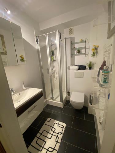 ein Badezimmer mit Dusche, Toilette und Waschbecken in der Unterkunft Central City Privatapartment Relax-Inn, Netflix & Sky TV! in Hannover