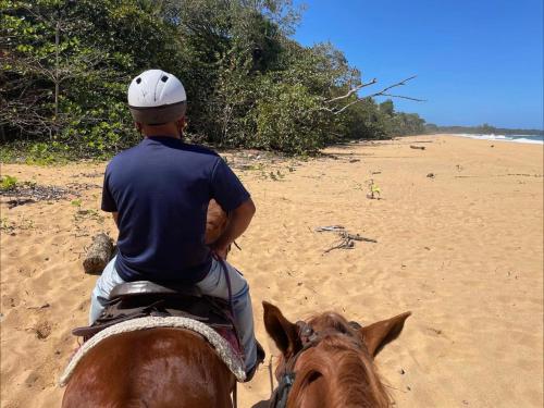 a man riding a horse on the beach at Playa Bluff Lodge in Bocas del Toro