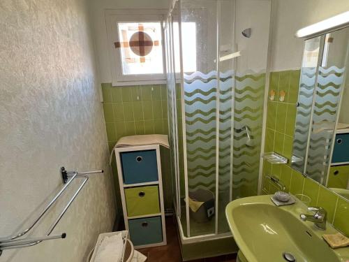 zieloną łazienkę z prysznicem i umywalką. w obiekcie Charmant T2 avec terrasse, climatisation, parking - Valras-Plage - FR-1-701-6 w mieście Valras-Plage