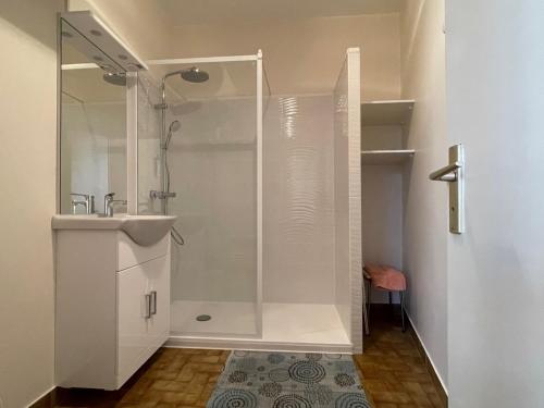 une salle de bain avec douche et lavabo dans l'établissement Spacieux studio au centre-ville avec ascenseur et animaux acceptés - FR-1-555-79, à Aix-les-Bains