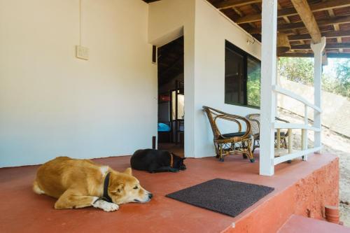 a dog laying on the floor of a house at SPACELAND Mandrem in Mandrem