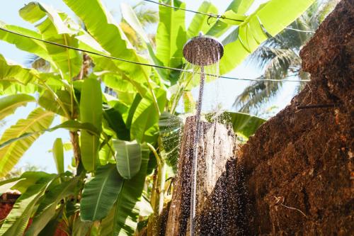 a bird bath in the middle of a banana tree at SPACELAND Mandrem in Mandrem