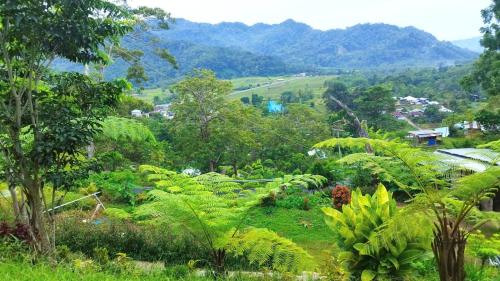 a view of a forest with mountains in the background at Filomena Lodge in Ende