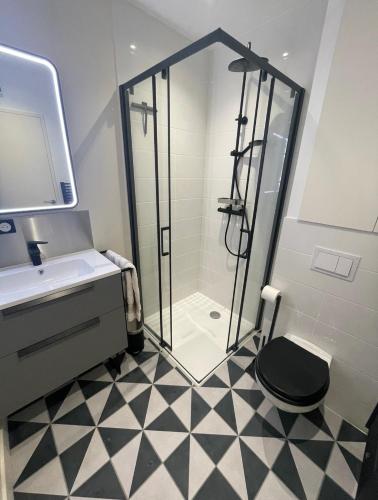 a bathroom with a shower and a sink and a toilet at Chambre atypique in Domène