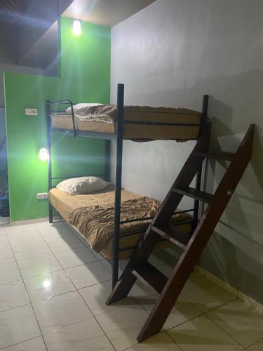 a room with two bunk beds and a ladder at PACA'S Reggae Bar & Hostel in Amed