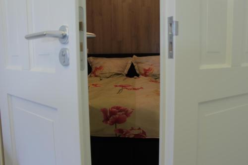 B&B “Te Warskip bij BlokVis” – Photos 3