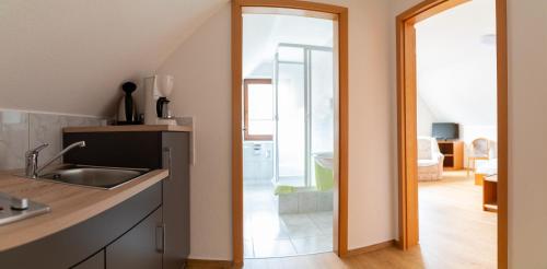 a kitchen with a sink and a mirror in a room at Landhotel Biberburg in Bad Liebenwerda