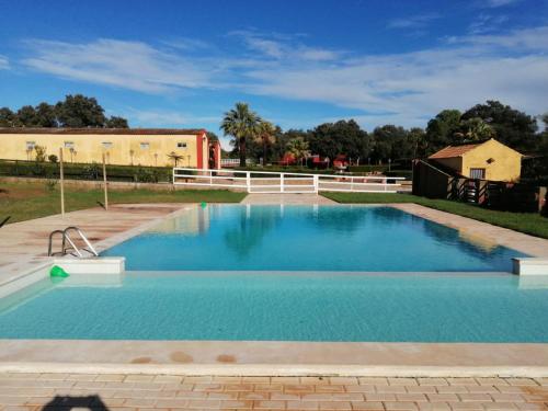 a large swimming pool with blue water at DEHESA LAS BRIDAS, SL in Morón de la Frontera