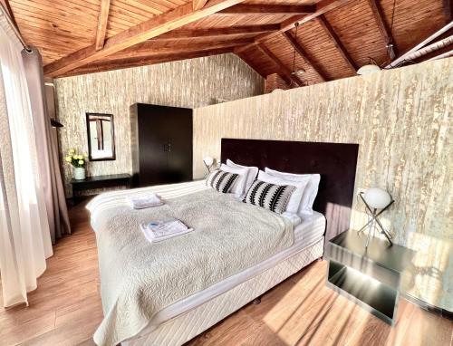 a bedroom with a large bed in a room at Penthouse Apartment 401 in Tbilisi City