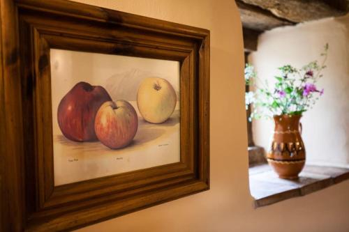 ein Bild von Äpfeln und eine Vase von Blumen an der Wand in der Unterkunft Highdown Farm Holiday Cottages in Cullompton